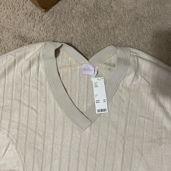 Urban Outfitters V Neck Sweater Neutral Soft Knit Pullover Relaxed Fit Small - Picture 8 of 11